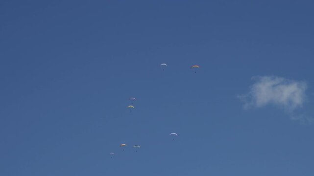 Group of colorful paragliders soaring through a clear blue sky flying next to the cloud captured in 4K
