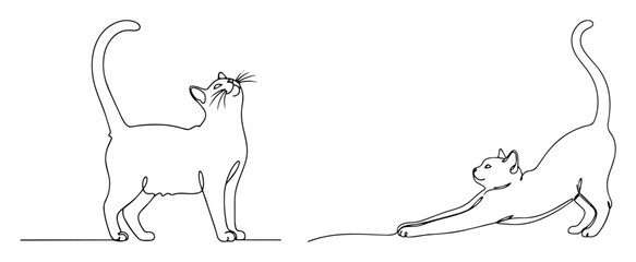 Continuous line drawing of two cute cats standing and stretching © Wieslaw