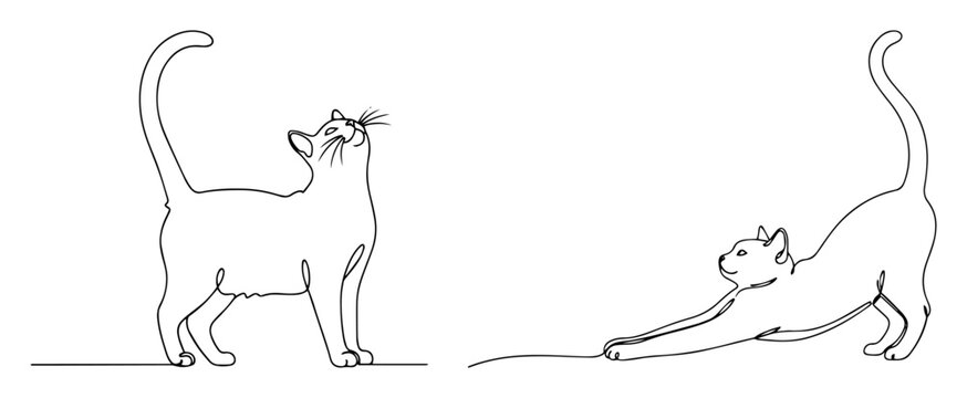 Continuous line drawing of two cute cats standing and stretching