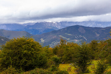 Preparando el otoño.  Bosque a principios de otoño. Poco a poco va adquiriendo color.