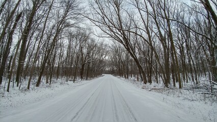 Obraz premium Snow covered tree lined road in the winter