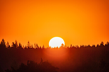 Obraz premium Sunset envelops the forest in vibrant orange shades as the day gently transitions to night