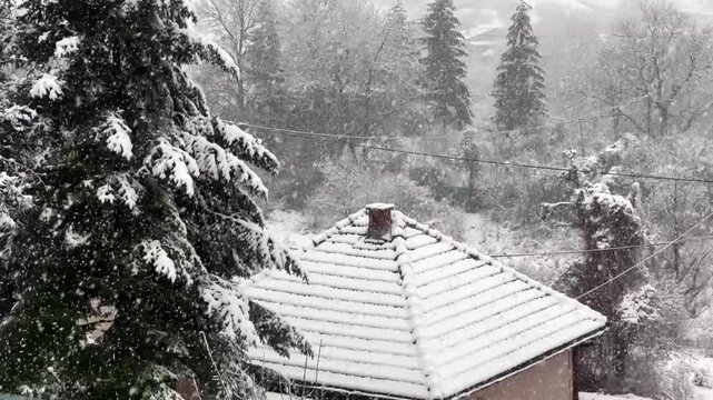 A closeup footage of snow flakes falling and covering the trees in a forest. High quality 4k footage