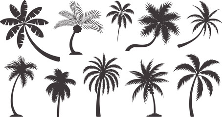 Obraz premium Nine black palm tree silhouettes in minimal flat style white