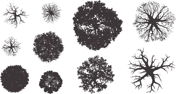 Monochrome overhead silhouettes of various tree canopies and root systems