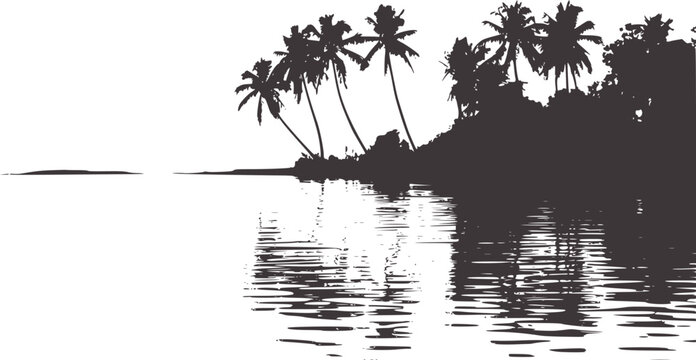 Black and white silhouette of tropical palm trees over calm water