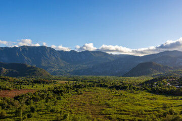 Obraz premium Natural green landscape with trees and mountains in the distance