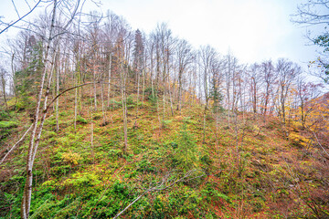 Fototapeta premium The scenic wievs of Erfelek Tatlıca Waterfalls, which is a series of waterfalls in Sinop Province, north Turkey.