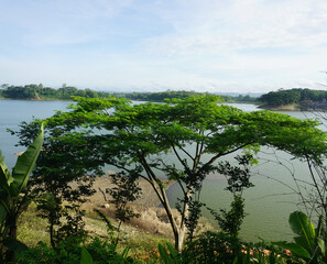 landscape with trees and clouds of Malang, East Java, Indonesia.