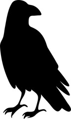 Raven Silhouette Gothic Wildlife Illustration