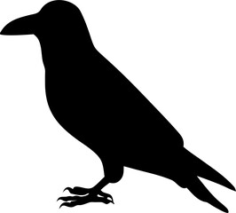 Fototapeta premium Raven Silhouette Gothic Wildlife Illustration