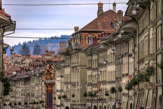 Christmas trees on medieval facades, the Altstadt or Old Town, Bern, Switzerland