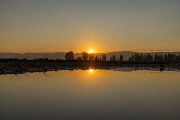 Naklejka premium Sunset over water with distant trees