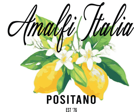 Amalfi lemon Limone Oranges italy Positano lemons seville lemons limone citrus European cute motifs cherry checker euro Trending t-shirt design Slogan Logo Graphic Vector Tee shirt fruit apparel print
