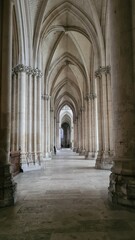 Fototapeta premium Belle perspective architecturale sur l'une des contre-allées de la Cathédrale Saint-Pierre-et-Saint-Paul de Troyes (Champagne, France)