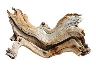 A weathered piece of driftwood, showcasing intricate grain patterns and natural textures against a dark backdrop