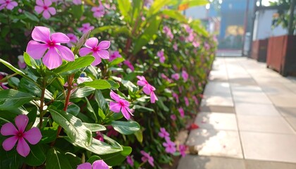 Purple flowers bloom vibrantly in a garden, adjacent to light stone tiles with green foliage and sunlight