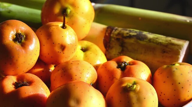 Still life of winter fruits, tejocotes, and sugarcane. Rotating in slow motion