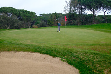 Obraz premium woman playing golf in the green fairway club