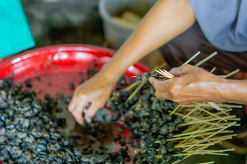 Preparing to make snail satay (Indonesian snail skewers). Skewering the snail meat. © Mang Kelin
