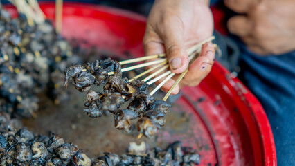 Preparing to make snail satay (Indonesian snail skewers). Skewering the snail meat. © Mang Kelin