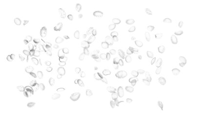 Abstract macro raw rice flakes flying, isolated on white background, clipping path 