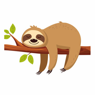 Cartoon cute lazy sloth animal character sleeping on tree branch, vector funny jungle slow bear.