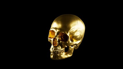 Luxury Golden Human Skull Isolated on Black Background