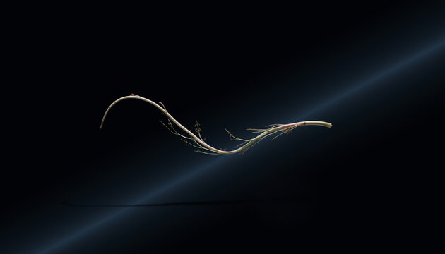 Ethereal Filament - a solitary, luminous organic strand dances with subtle light, captured in striking ultra-dark minimalist photography showcasing profound fragility - Powered by Adobe
