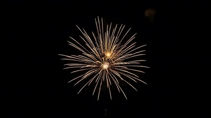 Obraz premium Vibrant golden fireworks exploding in dark night sky