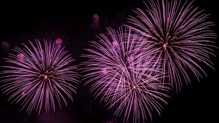 Obraz premium Vibrant purple fireworks exploding in night sky