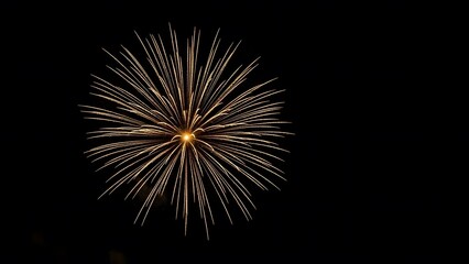 Fototapeta premium Vibrant golden fireworks exploding in dark night sky