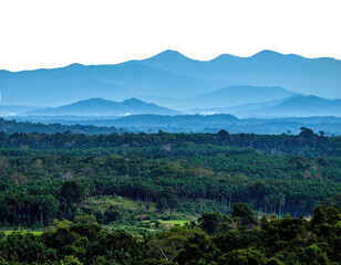 Obraz premium Rolling hills covered in lush greenery, leading to distant blue-hued mountain ranges