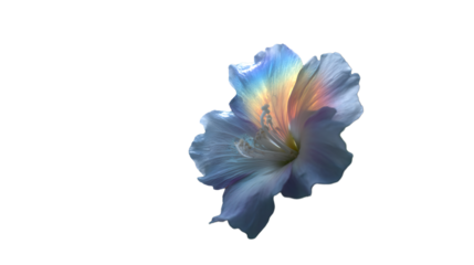 Iridescent white flower with pastel rainbow colors isolated on a transparent background