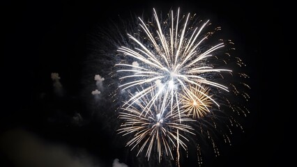Obraz premium Vibrant fireworks exploding in night sky with bright white and gold sparks