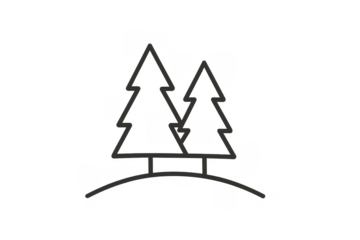 Pine tree forest line art illustration showing evergreen nature landscape icon on transparent background