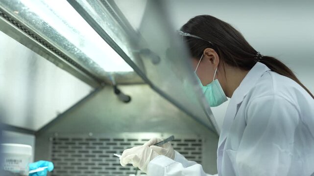 Dedicated female scientist preparing biological samples inside a sterile biosafety cabinet. Professional researcher conducting medical analysis for future healthcare innovation success.