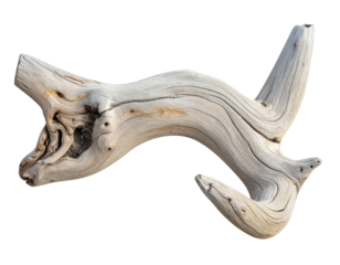 A weathered piece of driftwood, isolated, showcasing textured details and organic shapes