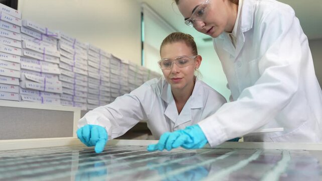 Professional female scientists examining a biological tissue sample in a cryovial. Team ensuring proper preservation protocols for biobanking and future medical research in a modern lab