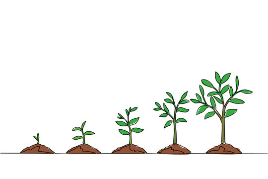 Continuous one line drawing 5 phases of tree growth with soil mounds. Symbolism of new and renewable energy. Protect the environment. World Plant Power Day. Single line draw design vector illustration