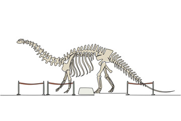 Continuous one line drawing brontosaurus dinosaur skeleton in museum room. Getting to know anatomy of predatory animal in the past International Museum Day. Single line draw design vector illustration © Simple Line
