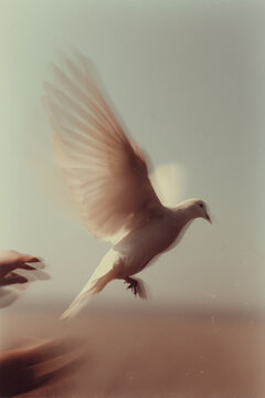 Paloma blanca en vuelo, s&iacute;mbolo de libertad y esperanza, Paloma en movimiento, representando la paz y la serenidad, esp&iacute;ritu santo, Dios esperanza y alegr&iacute;a en el coraz&oacute;n