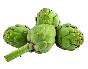 Fototapeta premium Four fresh, green artichokes on a transparent background. Edible buds ready for culinary use