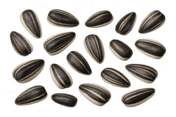 Sunflower seeds scattering, showcasing natural striped shells and potential for a healthy snack or ingredient. Transparent background
