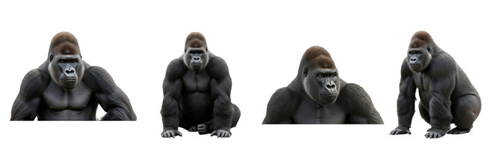 Set of gorilla sitting and standing in different poses isolated on transparent PNG background, oil paint © ibrahim