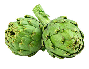 Obraz premium Two fresh green artichokes with textured leaves and a shared stem, isolated on black