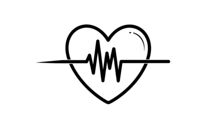 A completely black, featureless image