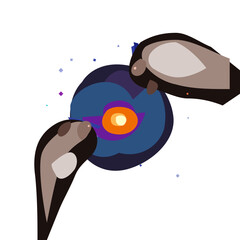 vector illustration of a bird