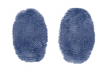 Biometric fingerprint identification technology for secure access, data protection, and forensic examination, transparent background