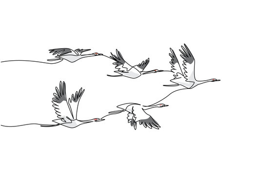 Single continuous line drawing a group of whooping cranes in flight with their wings in various positions. Formation during migration. Together. Whooping Crane Day. One line design vector illustration